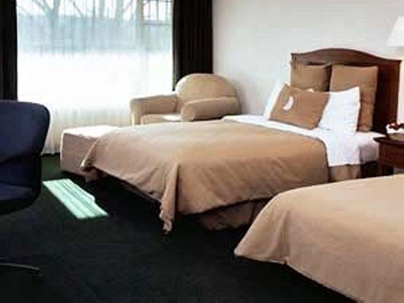Fiesta Inn San Luis Potosi Glorieta Juarez Eksteriør billede